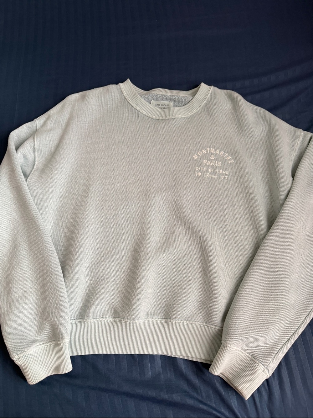 American Eagle Outfitters Light Sage Crewneck Sweatshirt